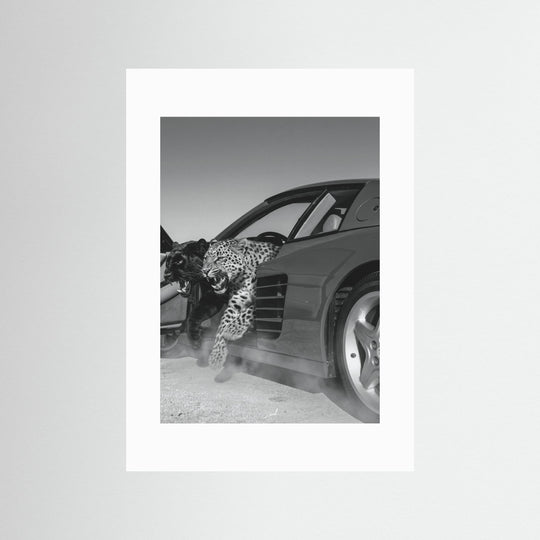 NO RISK NO RARRI