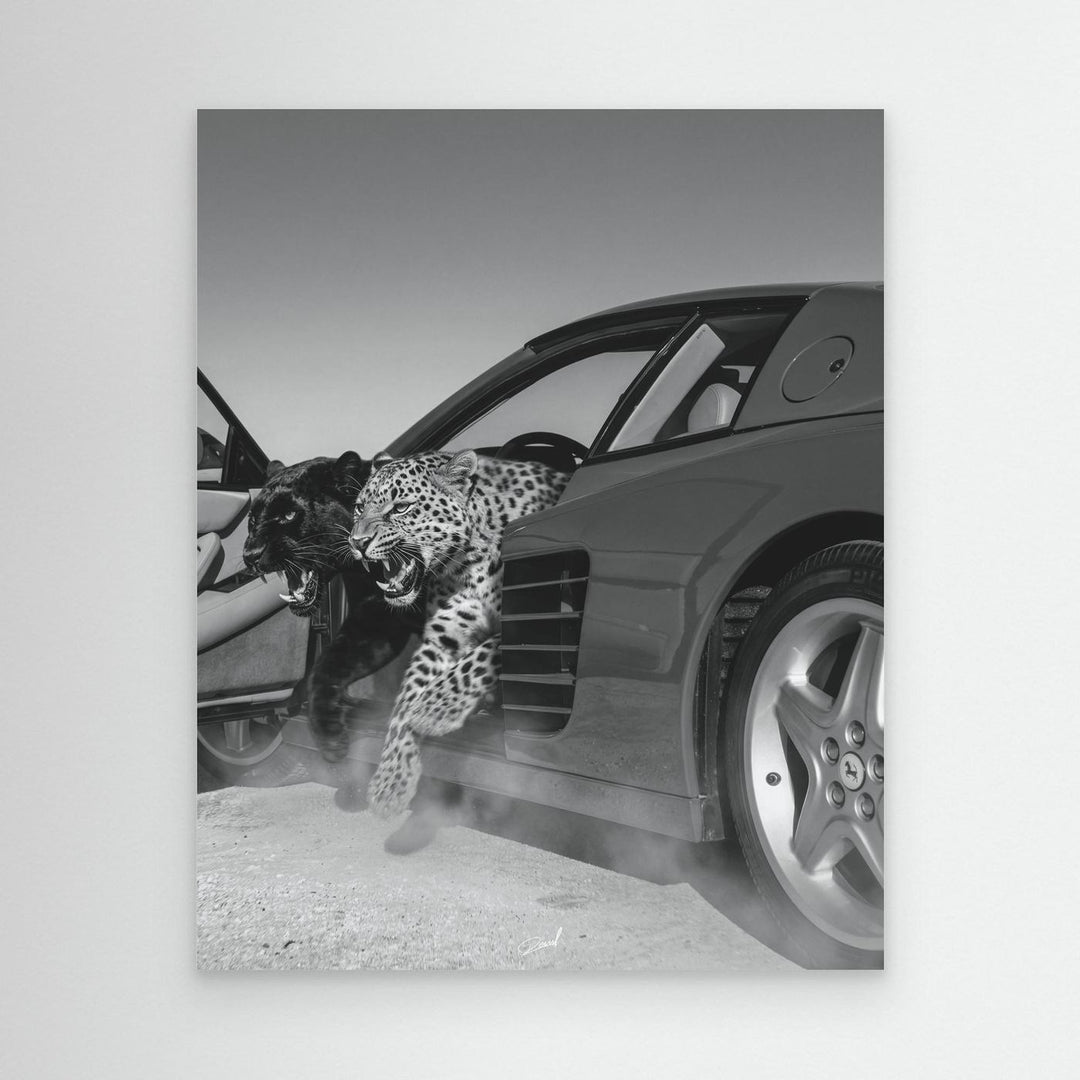 NO RISK NO RARRI