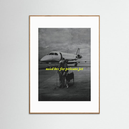 NEED BTC FOR PRIVATE JET
