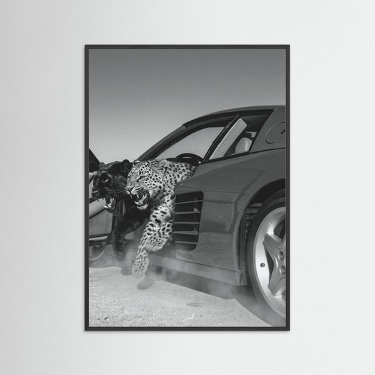 NO RISK NO RARRI