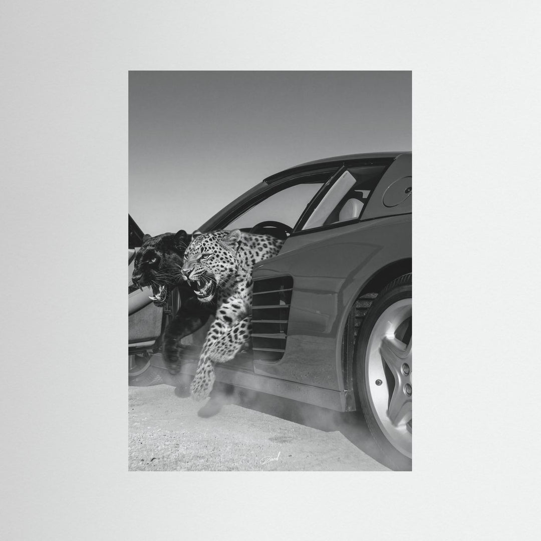 NO RISK NO RARRI