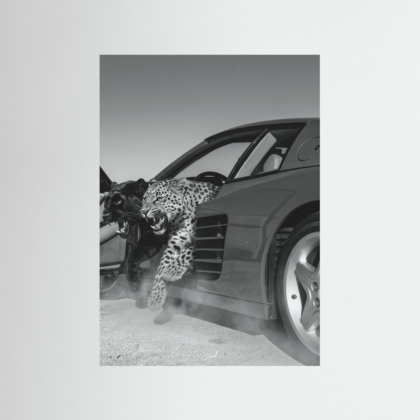 NO RISK NO RARRI
