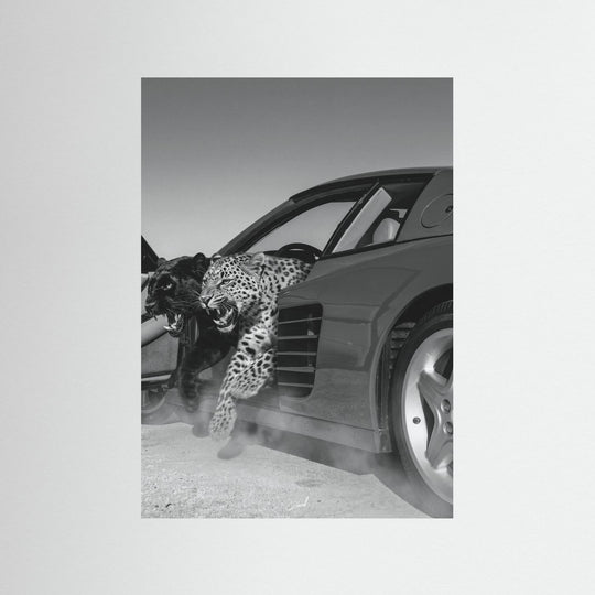 NO RISK NO RARRI