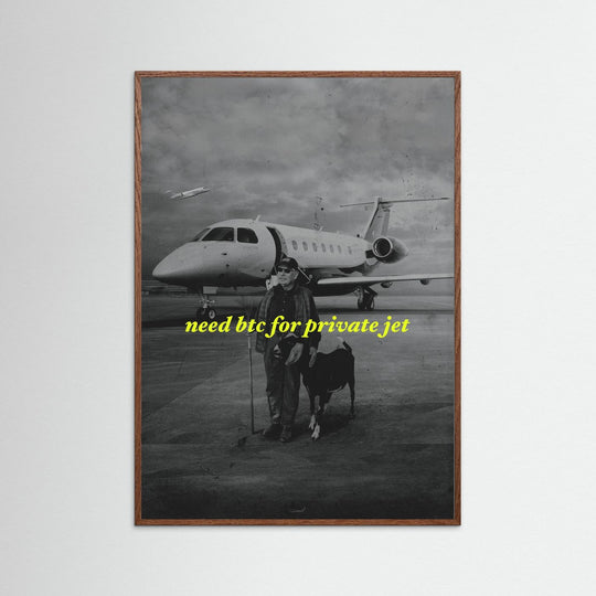 NEED BTC FOR PRIVATE JET