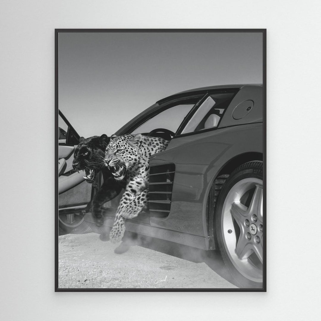 NO RISK NO RARRI