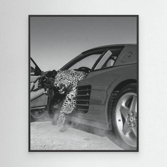 NO RISK NO RARRI