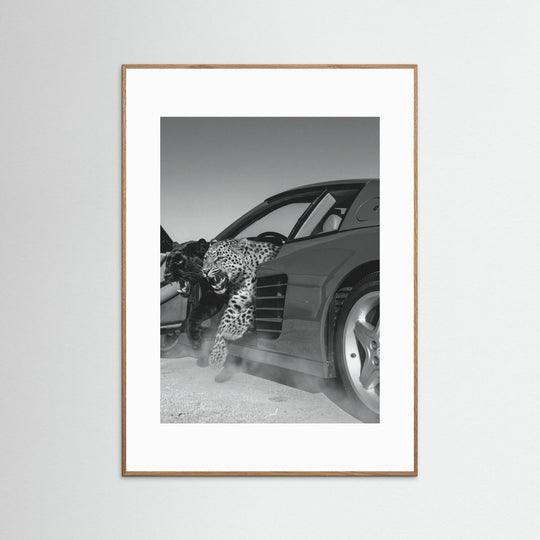 NO RISK NO RARRI