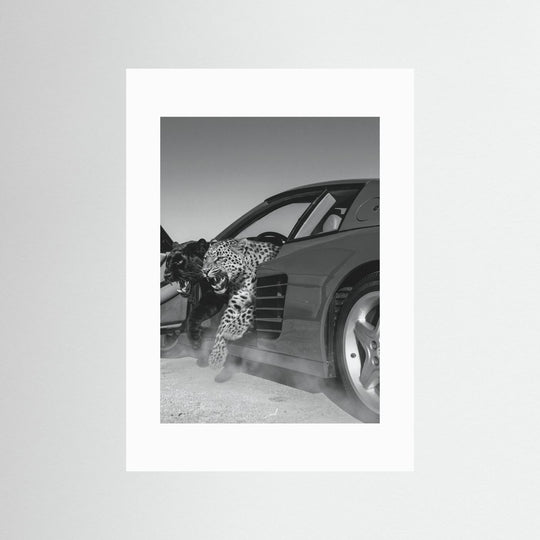 NO RISK NO RARRI