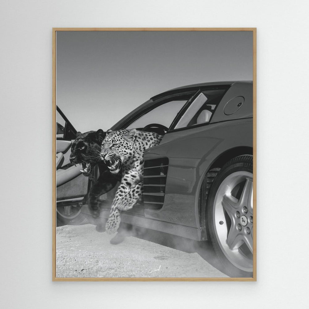 NO RISK NO RARRI