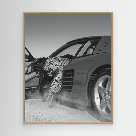 NO RISK NO RARRI