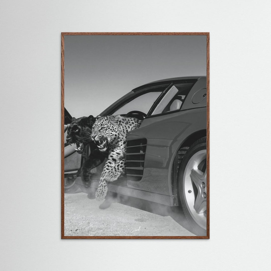 NO RISK NO RARRI