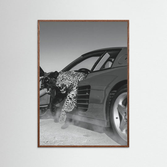 NO RISK NO RARRI