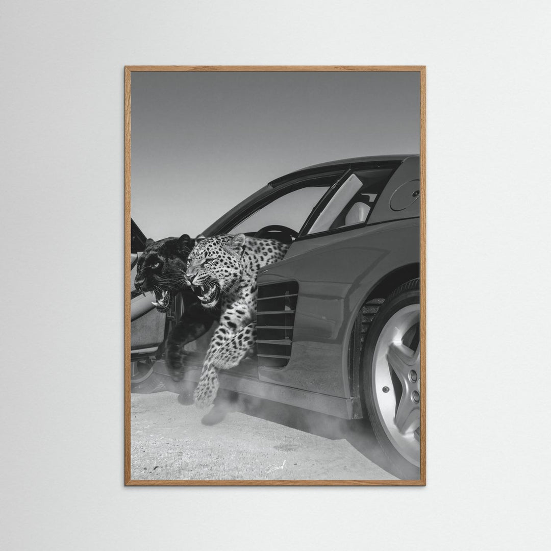 NO RISK NO RARRI