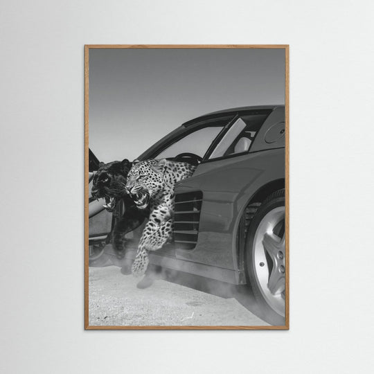 NO RISK NO RARRI