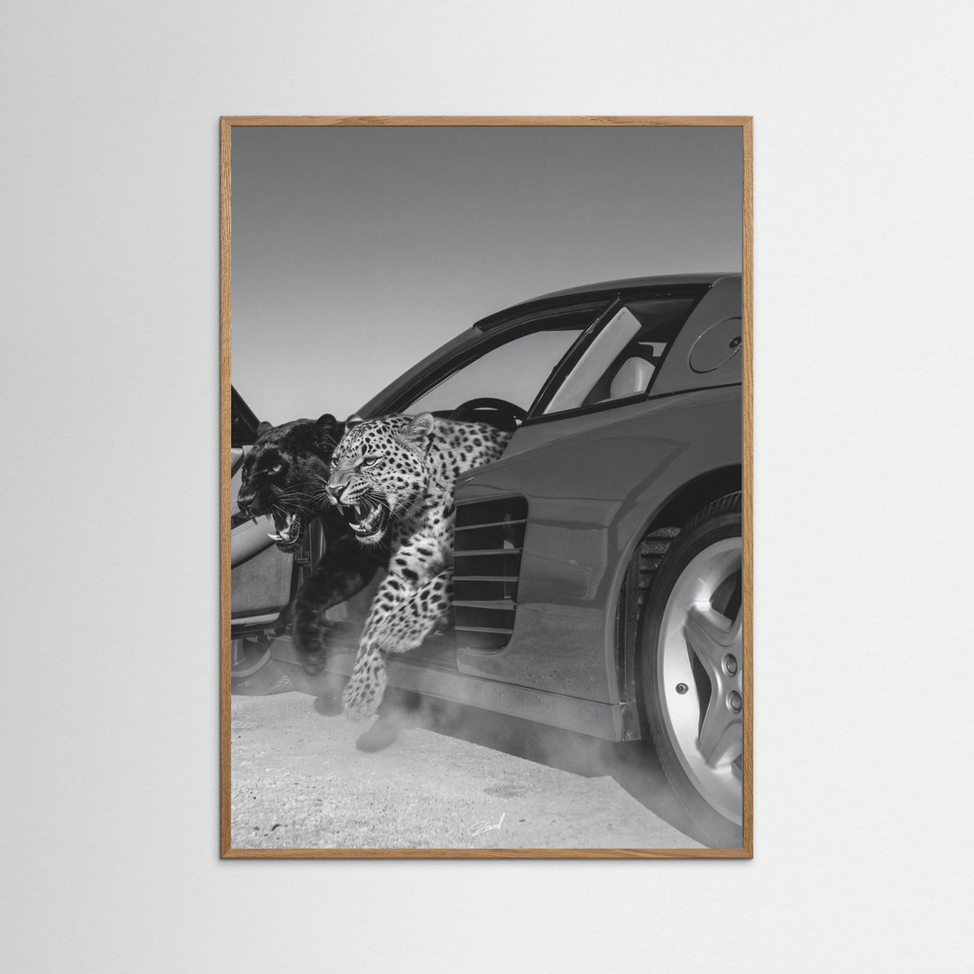 NO RISK NO RARRI