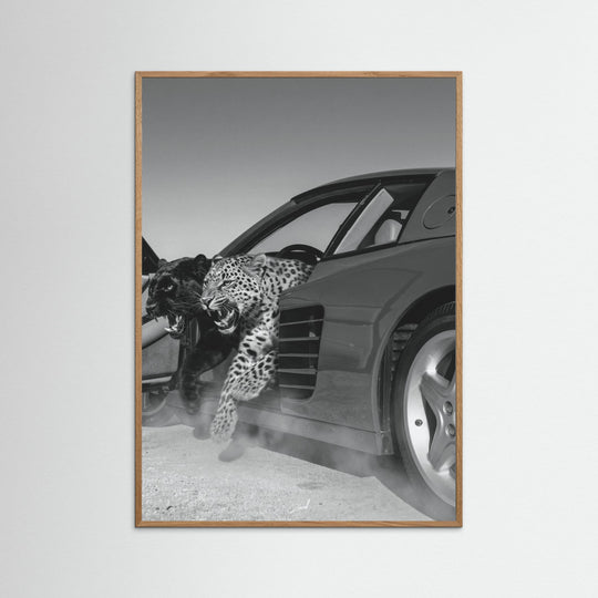 NO RISK NO RARRI