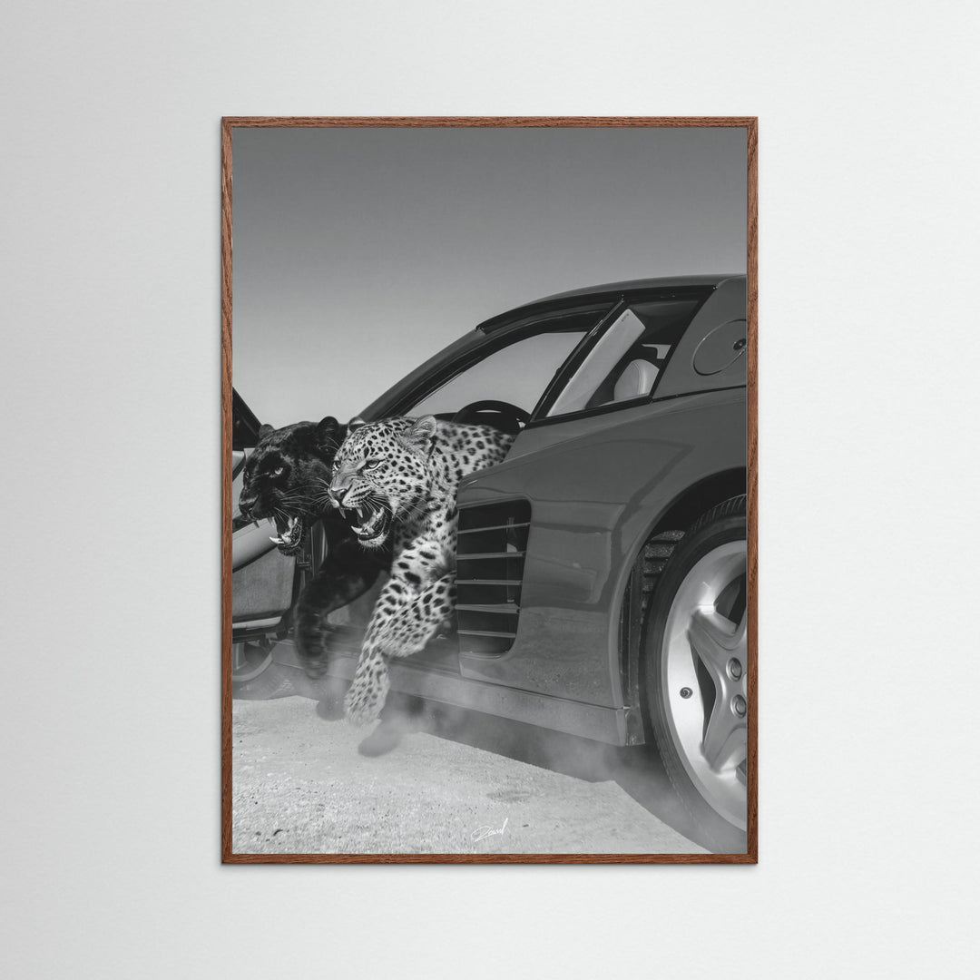 NO RISK NO RARRI