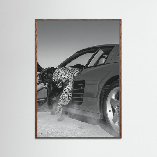 NO RISK NO RARRI